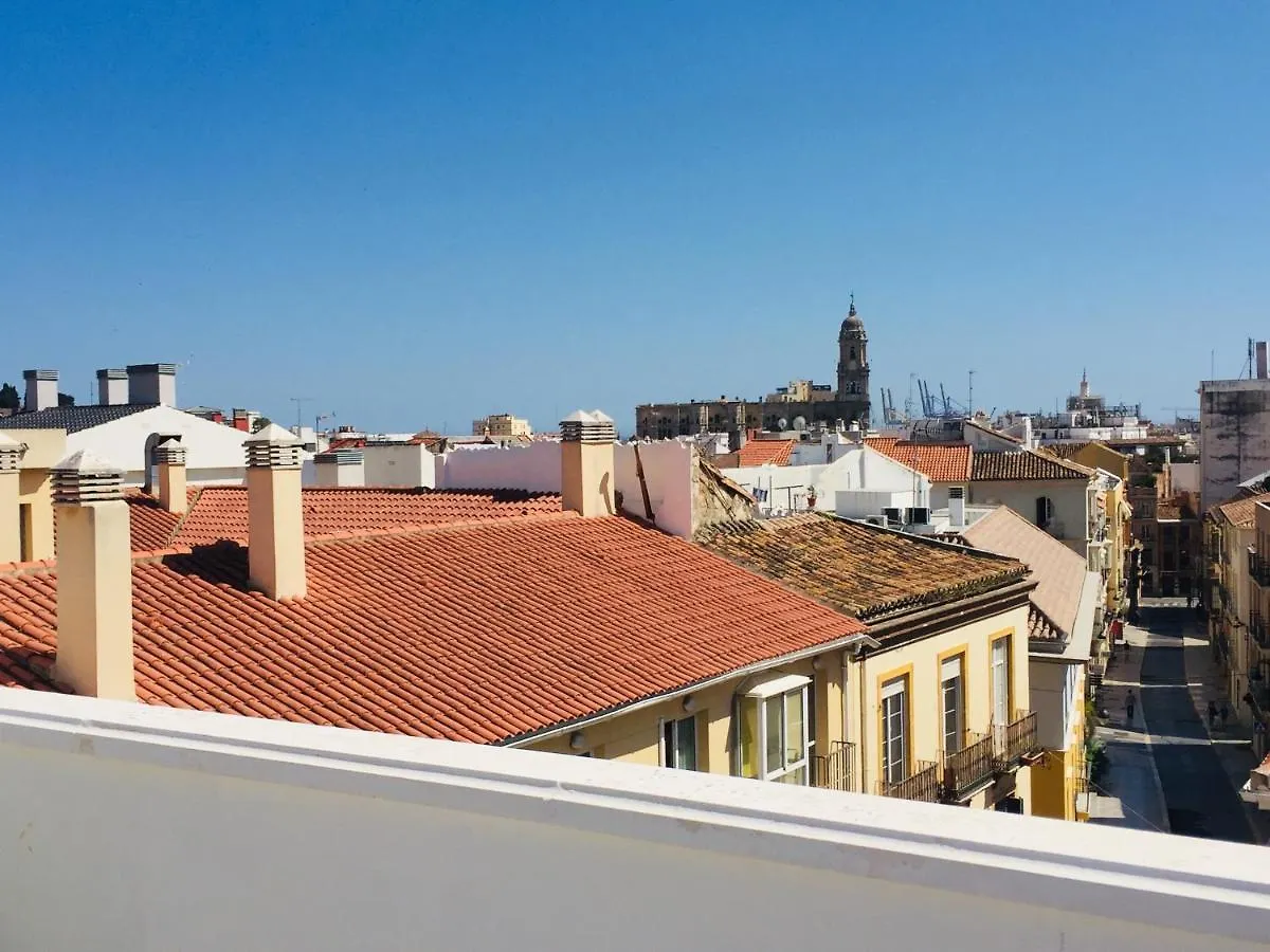 Charming Home With Private Terrace,Heart Of Malaga Spain