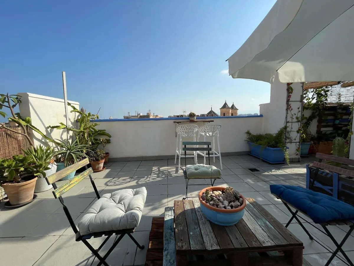 Charming Home With Private Terrace,Heart Of Malaga 0*,  Spain